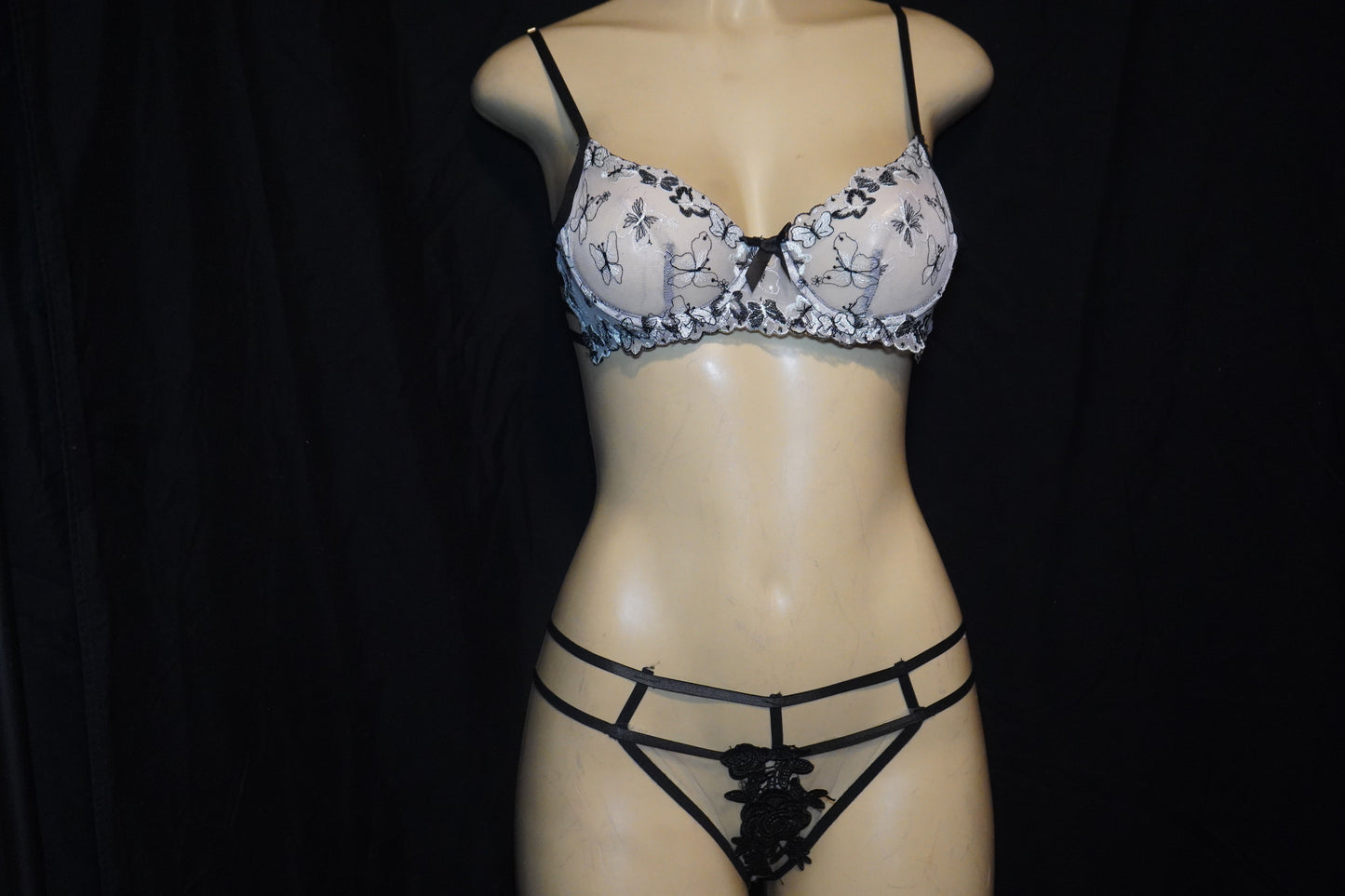 sheer and lace bra and panties